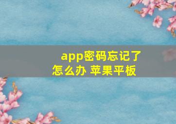 app密码忘记了怎么办 苹果平板